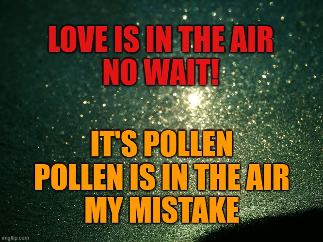 pollen | LOVE IS IN THE AIR
NO WAIT! IT'S POLLEN
POLLEN IS IN THE AIR
MY MISTAKE | image tagged in sneeze | made w/ Imgflip meme maker