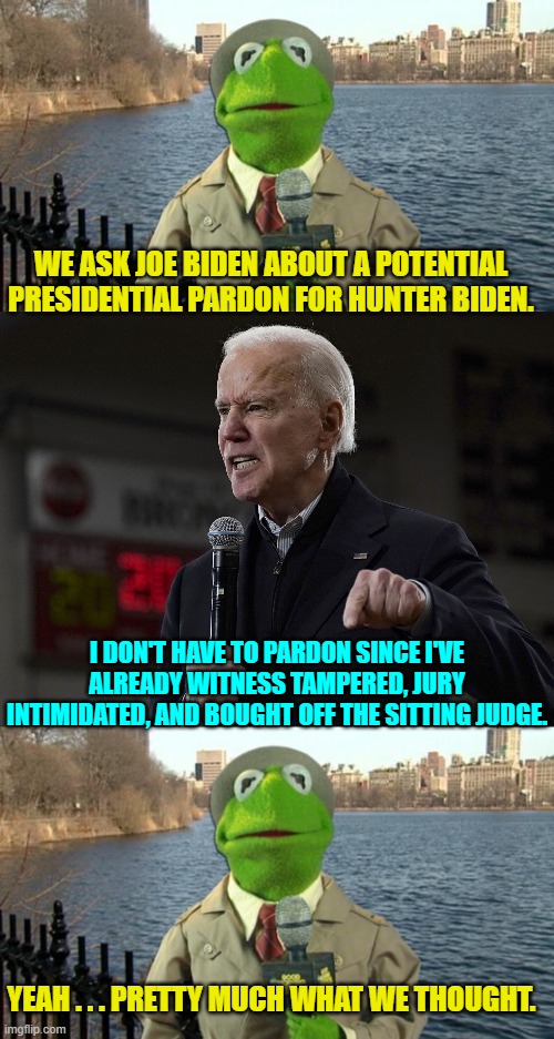 All while the Mainstream Media has channeled Sergeant Schultz, "I see nothing . . . NOTHING!" | WE ASK JOE BIDEN ABOUT A POTENTIAL PRESIDENTIAL PARDON FOR HUNTER BIDEN. I DON'T HAVE TO PARDON SINCE I'VE ALREADY WITNESS TAMPERED, JURY INTIMIDATED, AND BOUGHT OFF THE SITTING JUDGE. YEAH . . . PRETTY MUCH WHAT WE THOUGHT. | image tagged in kermit news report | made w/ Imgflip meme maker