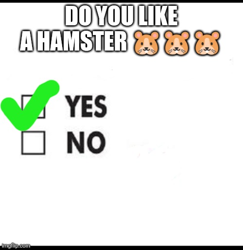 Algeria | DO YOU LIKE A HAMSTER 🐹🐹🐹 | image tagged in check yes or no | made w/ Imgflip meme maker