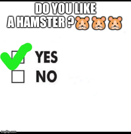 Do you like a hamster ? | DO YOU LIKE A HAMSTER ?🐹🐹🐹 | image tagged in check yes or no | made w/ Imgflip meme maker