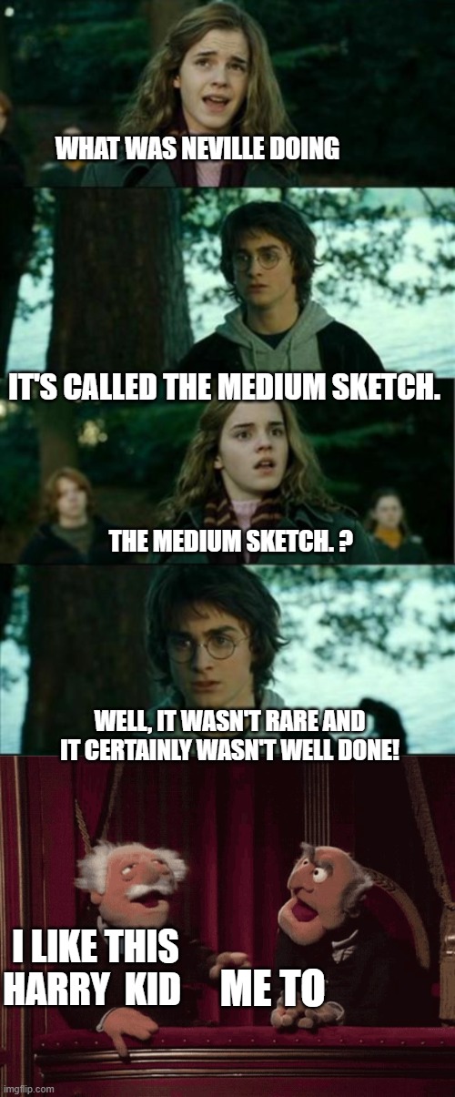 WHAT WAS NEVILLE DOING; IT'S CALLED THE MEDIUM SKETCH. THE MEDIUM SKETCH. ? WELL, IT WASN'T RARE AND IT CERTAINLY WASN'T WELL DONE! I LIKE THIS HARRY  KID; ME TO | image tagged in statler and waldorf,harry potter,bad joke | made w/ Imgflip meme maker
