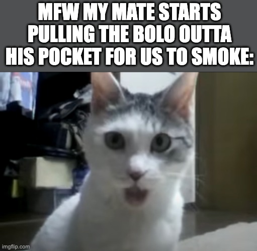 MFW MY MATE STARTS PULLING THE BOLO OUTTA HIS POCKET FOR US TO SMOKE: | image tagged in bolo,pocket,funny,lol,psychonaut,nyanya | made w/ Imgflip meme maker