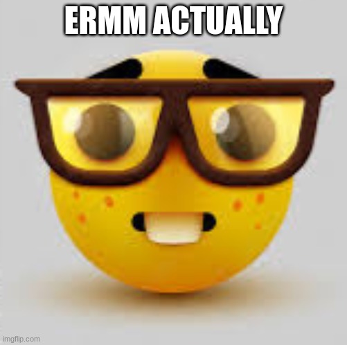 Nerdface | ERMM ACTUALLY | image tagged in nerdface | made w/ Imgflip meme maker