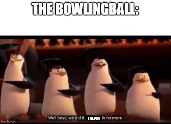 THE BOWLINGBALL: THE PIN | image tagged in well boys we did it blank is no more | made w/ Imgflip meme maker