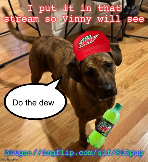 Do the dew | I put it in that stream so Vinny will see; https://imgflip.com/gif/8t3pup | image tagged in do the dew | made w/ Imgflip meme maker