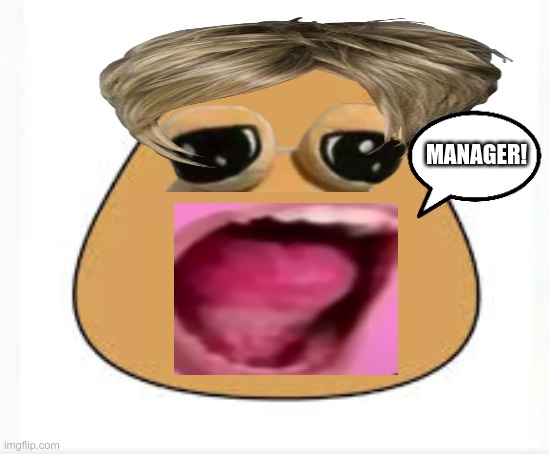 MANAGER! | MANAGER! | image tagged in karen | made w/ Imgflip meme maker