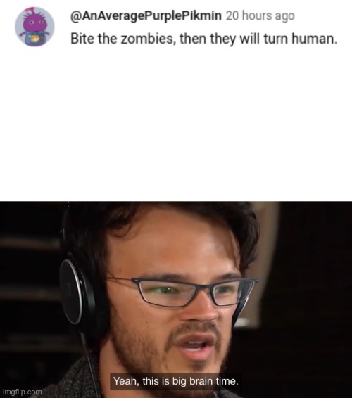 Zombie Apocalypse | image tagged in yeah this is big brain time,zombie apocalypse,fun,memes | made w/ Imgflip meme maker