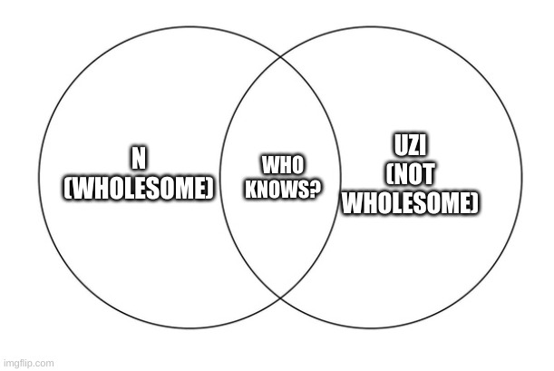I cannot understand how these two goobers could possibly compliment each other | UZI (NOT WHOLESOME); N (WHOLESOME); WHO KNOWS? | image tagged in venn diagram,murder drones | made w/ Imgflip meme maker