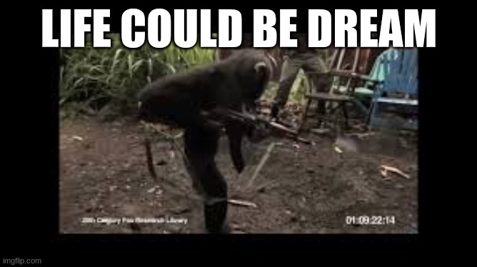 heeeeee | LIFE COULD BE DREAM | image tagged in funny memes | made w/ Imgflip meme maker