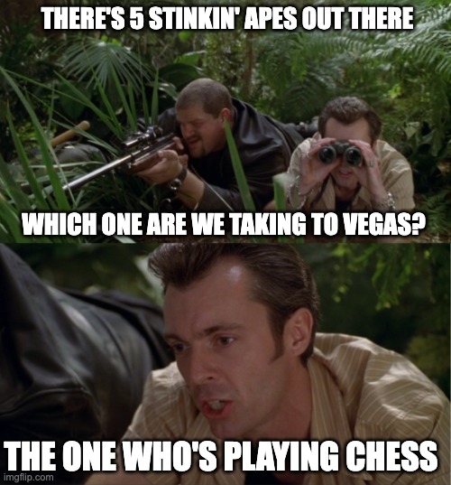 The one who's playing chess | THERE'S 5 STINKIN' APES OUT THERE; WHICH ONE ARE WE TAKING TO VEGAS? THE ONE WHO'S PLAYING CHESS | image tagged in which x the one doing y | made w/ Imgflip meme maker