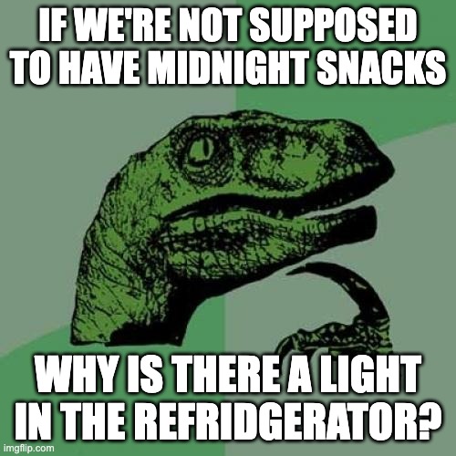 Philosoraptor Meme | IF WE'RE NOT SUPPOSED TO HAVE MIDNIGHT SNACKS; WHY IS THERE A LIGHT IN THE REFRIDGERATOR? | image tagged in memes,philosoraptor | made w/ Imgflip meme maker