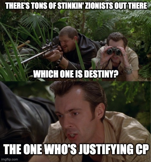 Which one is Destiny? | THERE'S TONS OF STINKIN' ZIONISTS OUT THERE; WHICH ONE IS DESTINY? THE ONE WHO'S JUSTIFYING CP | image tagged in which x the one doing y | made w/ Imgflip meme maker