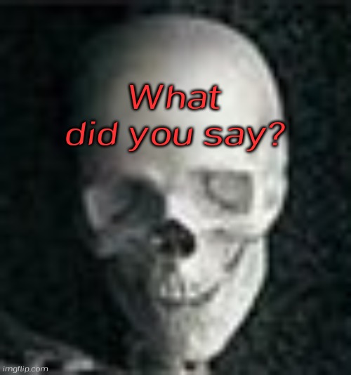 Skull | What did you say? | image tagged in skull | made w/ Imgflip meme maker
