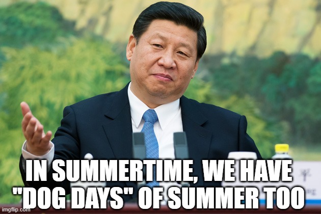 Xi Jinping | IN SUMMERTIME, WE HAVE "DOG DAYS" OF SUMMER TOO | image tagged in xi jinping | made w/ Imgflip meme maker