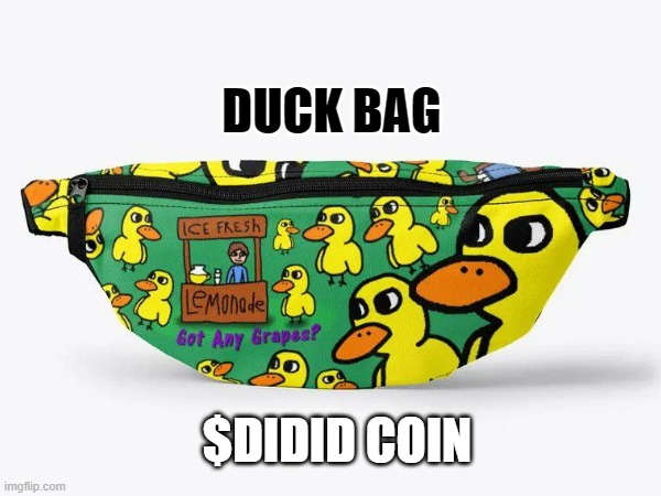 Duck Bag | DUCK BAG; $DIDID COIN | image tagged in didid,meme coin,indonesia,duck,bag,cute | made w/ Imgflip meme maker