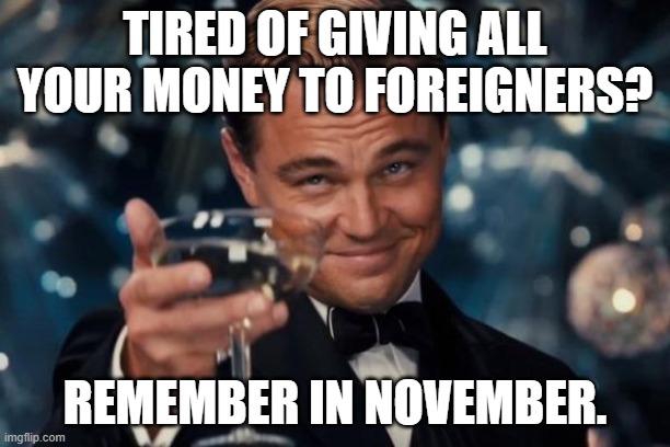 Leonardo Dicaprio Cheers Meme | TIRED OF GIVING ALL YOUR MONEY TO FOREIGNERS? REMEMBER IN NOVEMBER. | image tagged in memes,leonardo dicaprio cheers | made w/ Imgflip meme maker