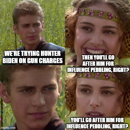 don't expect much | WE'RE TRYING HUNTER BIDEN ON GUN CHARGES; THEN YOU'LL GO AFTER HIM FOR INFLUENCE PEDDLING, RIGHT? YOU'LL GO AFTER HIM FOR INFLUENCE PEDDLING, RIGHT? | image tagged in anakin padme 4 panel | made w/ Imgflip meme maker