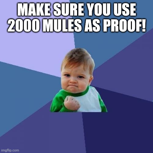 Success Kid Meme | MAKE SURE YOU USE 2000 MULES AS PROOF! | image tagged in memes,success kid | made w/ Imgflip meme maker