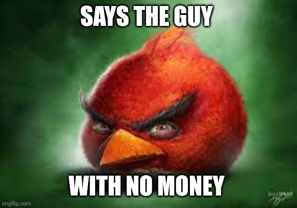 Realistic Red Angry Birds | SAYS THE GUY; WITH NO MONEY | image tagged in realistic red angry birds | made w/ Imgflip meme maker