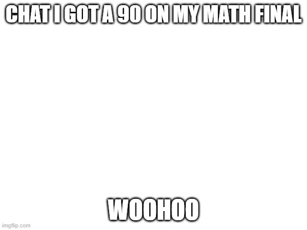 WOOHOO | CHAT I GOT A 90 ON MY MATH FINAL; WOOHOO | image tagged in woohoo | made w/ Imgflip meme maker