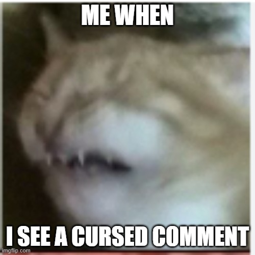 cursedcommments | ME WHEN; I SEE A CURSED COMMENT | image tagged in sucat do be snez | made w/ Imgflip meme maker