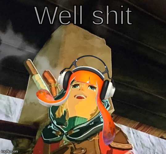 Link well sHiT | image tagged in link well shit | made w/ Imgflip meme maker