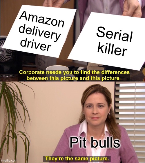 "DON'T KILL MOMMY" | Amazon delivery driver; Serial killer; Pit bulls | image tagged in memes,they're the same picture,pit bull,killer,dogs | made w/ Imgflip meme maker