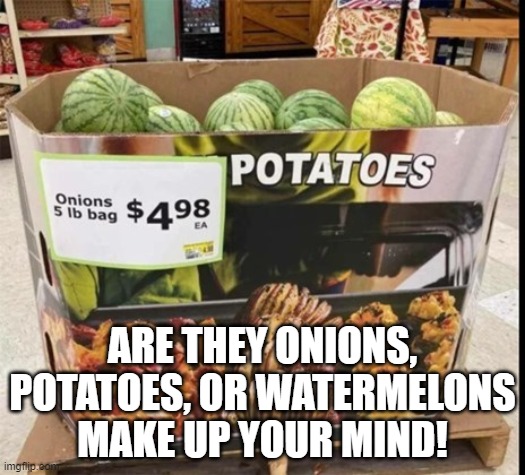 which one are they | ARE THEY ONIONS, POTATOES, OR WATERMELONS MAKE UP YOUR MIND! | image tagged in food | made w/ Imgflip meme maker