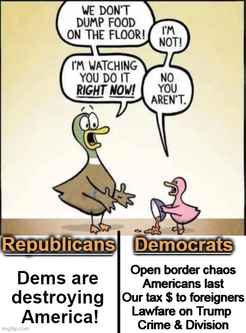 In Plain Sight | Republicans; ____________; Democrats; _________; Open border chaos
Americans last
Our tax $ to foreigners
Lawfare on Trump 
Crime & Division; Dems are 
destroying 

America! _____________ | image tagged in liberals vs conservatives,know the difference,america,in plain sight,denial,political humor | made w/ Imgflip meme maker