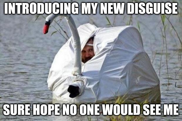 goose disguise | INTRODUCING MY NEW DISGUISE; SURE HOPE NO ONE WOULD SEE ME | image tagged in goose disguise | made w/ Imgflip meme maker