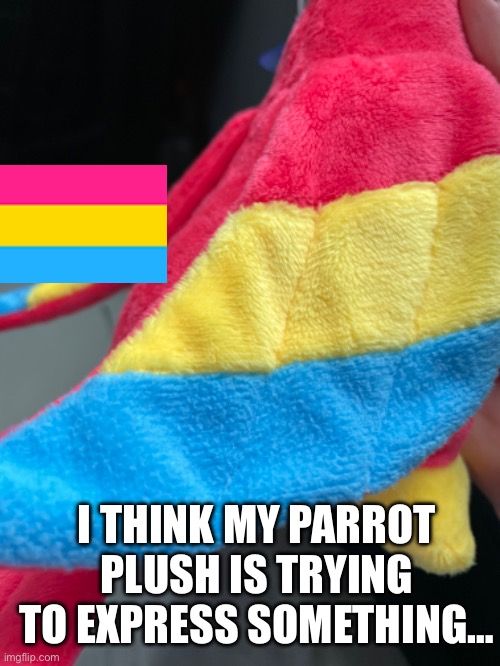 Hmmm | I THINK MY PARROT PLUSH IS TRYING TO EXPRESS SOMETHING… | image tagged in lgbtq,pride month,pansexual,plush | made w/ Imgflip meme maker