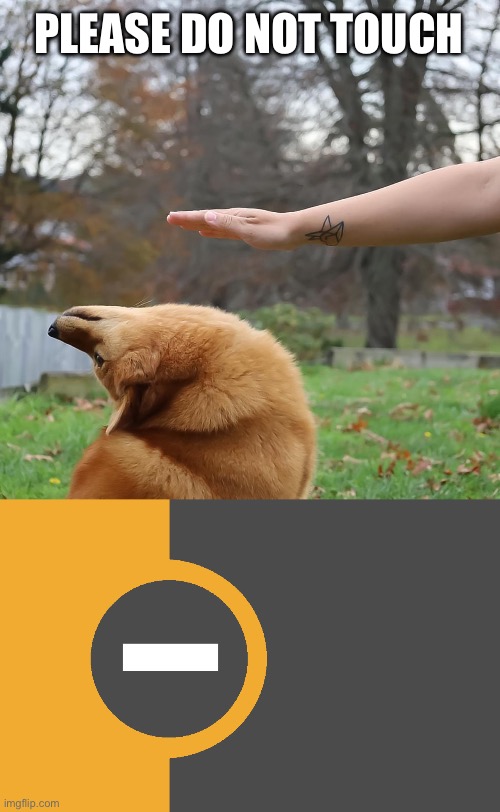 Rufus is a touch-repulsed dog | PLEASE DO NOT TOUCH | image tagged in avoid dog,lgbtq,asensual,touch stances,touch-repulsed,dog | made w/ Imgflip meme maker