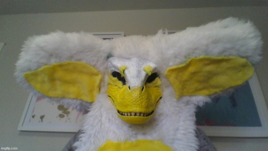 behold my first furred fursuit | image tagged in furry,manokit | made w/ Imgflip meme maker