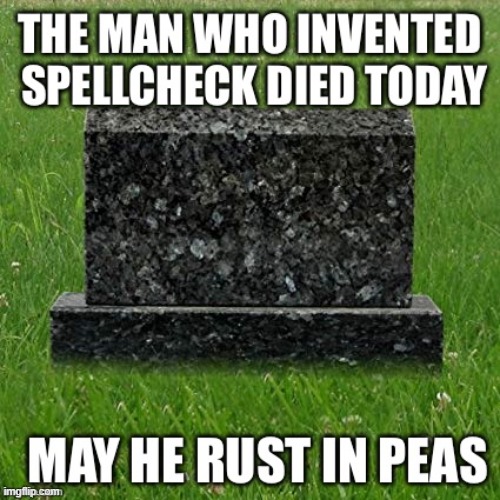 Dam Spill Chick! | image tagged in vince vance,spell check,spellcheck,memes,rip headstone,rest in peace | made w/ Imgflip meme maker