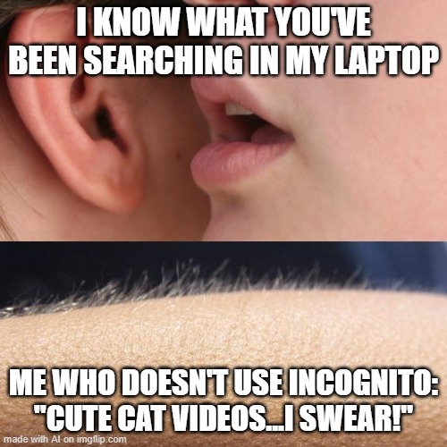 Whisper and Goosebumps | I KNOW WHAT YOU'VE BEEN SEARCHING IN MY LAPTOP; ME WHO DOESN'T USE INCOGNITO: "CUTE CAT VIDEOS...I SWEAR!" | image tagged in whisper and goosebumps | made w/ Imgflip meme maker