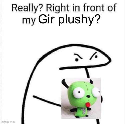 Gir | Gir plushy? | image tagged in really right in front of my pancit | made w/ Imgflip meme maker