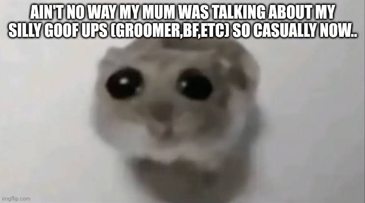 Sad Hamster | AIN'T NO WAY MY MUM WAS TALKING ABOUT MY SILLY GOOF UPS (GROOMER,BF,ETC) SO CASUALLY NOW.. | made w/ Imgflip meme maker