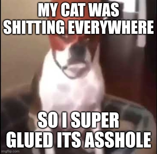daredevil dog | MY CAT WAS SHITTING EVERYWHERE; SO I SUPER GLUED ITS ASSHOLE | image tagged in daredevil dog | made w/ Imgflip meme maker