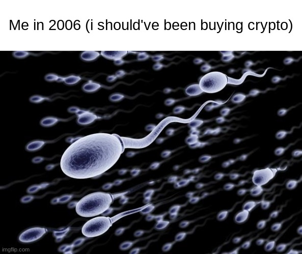 sperm swimming | Me in 2006 (i should've been buying crypto) | image tagged in sperm swimming | made w/ Imgflip meme maker