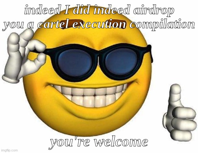 no need to thank me | indeed I did indeed airdrop you a cartel execution compilation; you're welcome | image tagged in thumbs up emoji | made w/ Imgflip meme maker