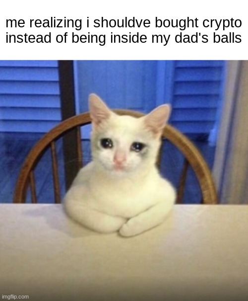 Crying Sad Cat Sitting In The Chair | me realizing i shouldve bought crypto instead of being inside my dad's balls | image tagged in crying sad cat sitting in the chair | made w/ Imgflip meme maker
