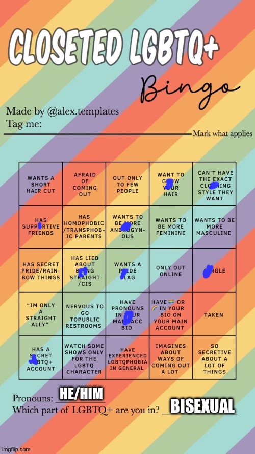 Redo because some things changed | HE/HIM; BISEXUAL | image tagged in closeted lgbtq bingo | made w/ Imgflip meme maker