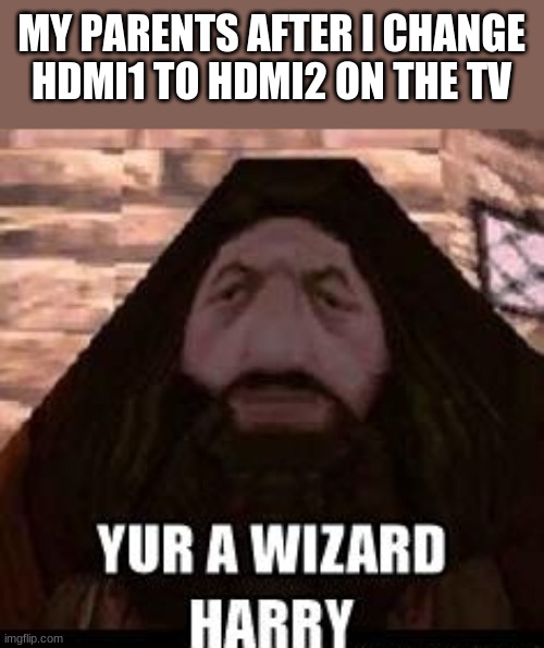 grandparents* | MY PARENTS AFTER I CHANGE HDMI1 TO HDMI2 ON THE TV | image tagged in ps1 hagrid | made w/ Imgflip meme maker