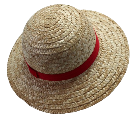 STRAW HAT Blank Meme Template