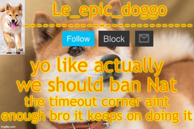 epic doggo's temp back in old fashion | yo like actually we should ban Nat; the timeout corner aint enough bro it keeps on doing it | image tagged in epic doggo's temp back in old fashion | made w/ Imgflip meme maker