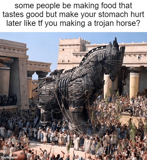 cooks | some people be making food that tastes good but make your stomach hurt later like tf you making a trojan horse? | image tagged in funny | made w/ Imgflip meme maker