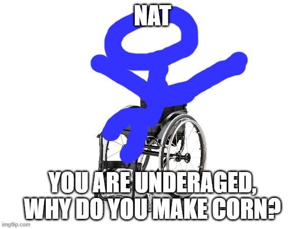 My third template | NAT; YOU ARE UNDERAGED, WHY DO YOU MAKE CORN? | image tagged in my third template | made w/ Imgflip meme maker