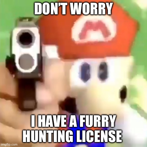 ;) | DON’T WORRY; I HAVE A FURRY HUNTING LICENSE | image tagged in mario with gun | made w/ Imgflip meme maker