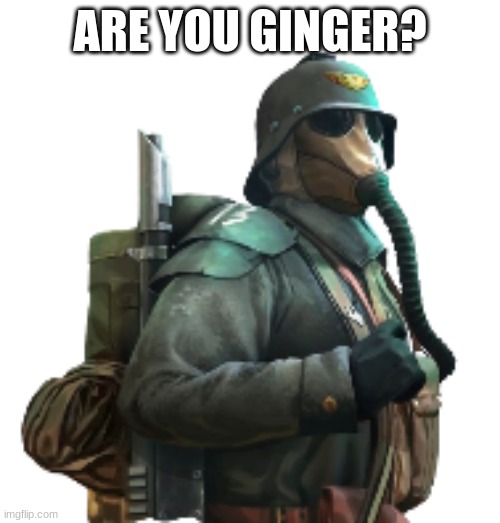 krieger | ARE YOU GINGER? | image tagged in krieger | made w/ Imgflip meme maker