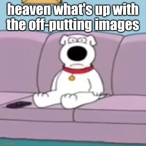 mad brian | heaven what's up with the off-putting images | image tagged in mad brian | made w/ Imgflip meme maker